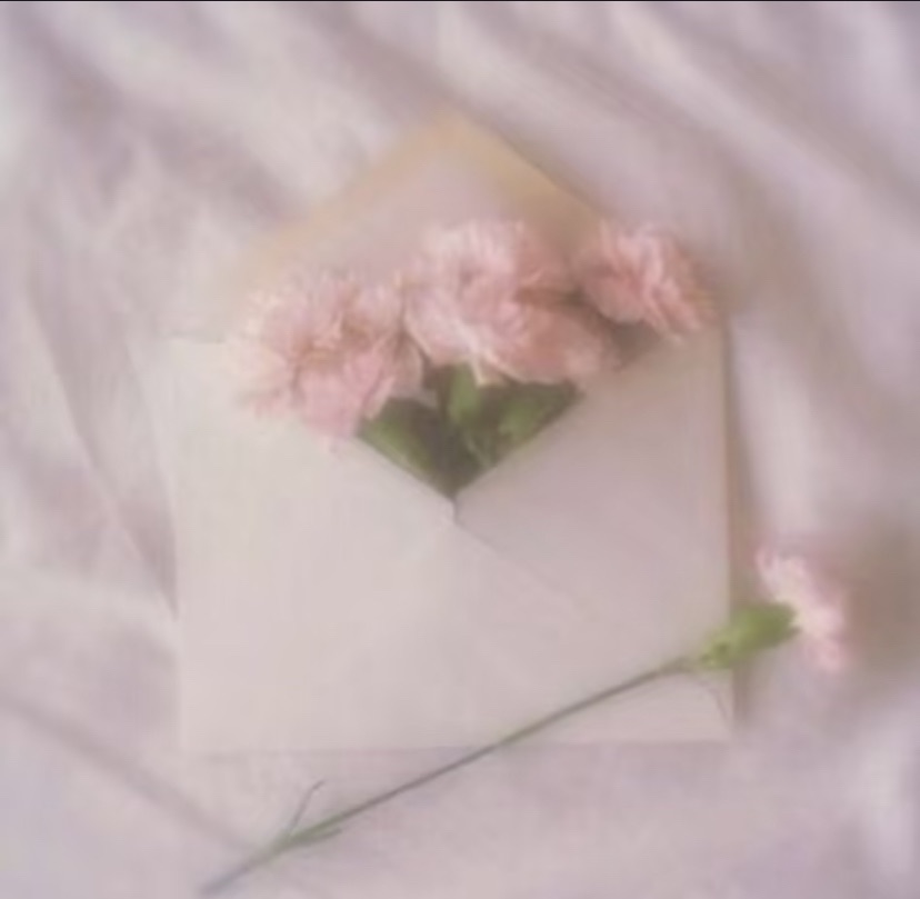 小禮物 / 贈品 Gift 專區 ˚ෆ