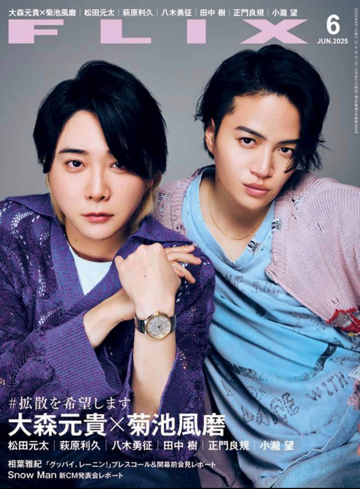 FLIX 2025年6月