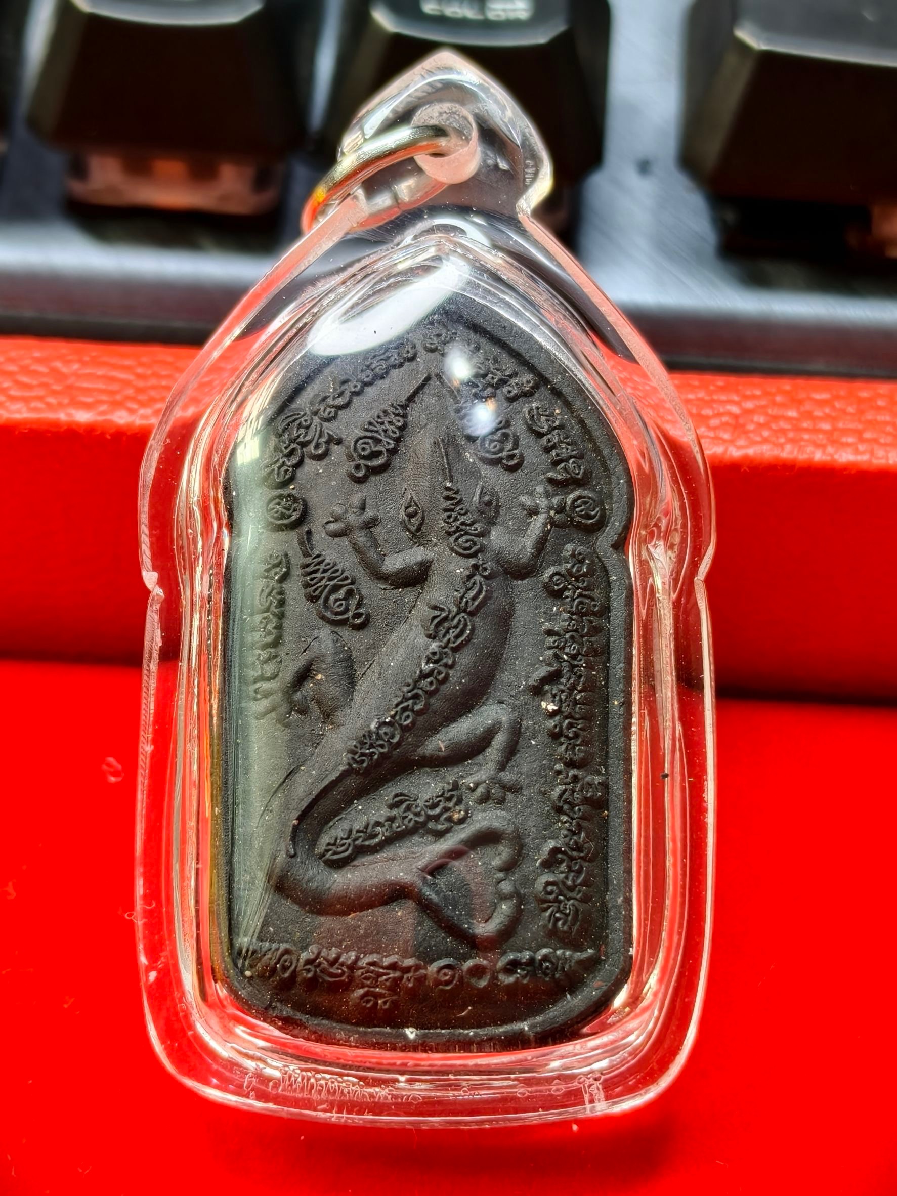 2554 龍婆乃 魅力精族