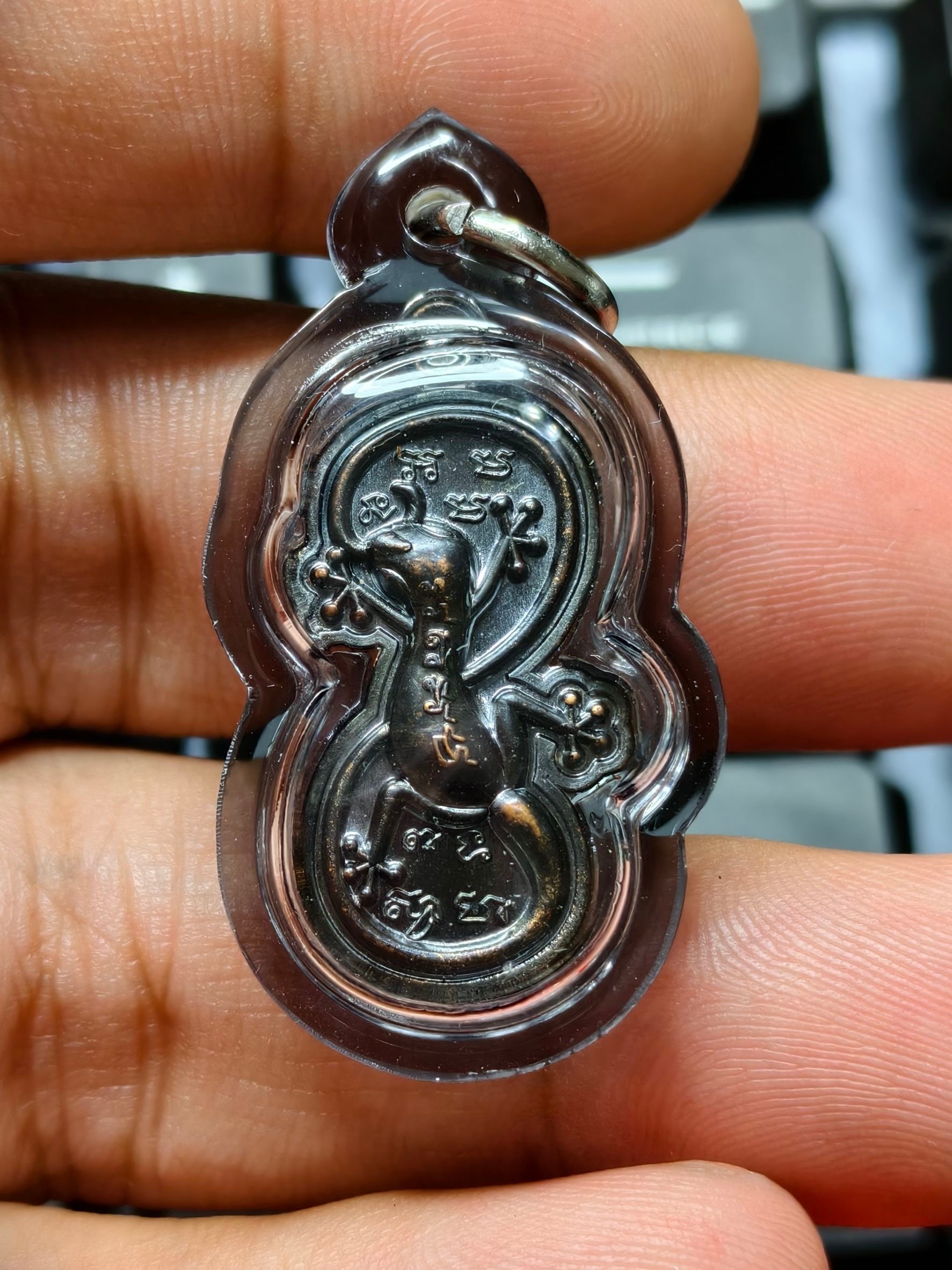 2568 龍婆梁 無限壁虎