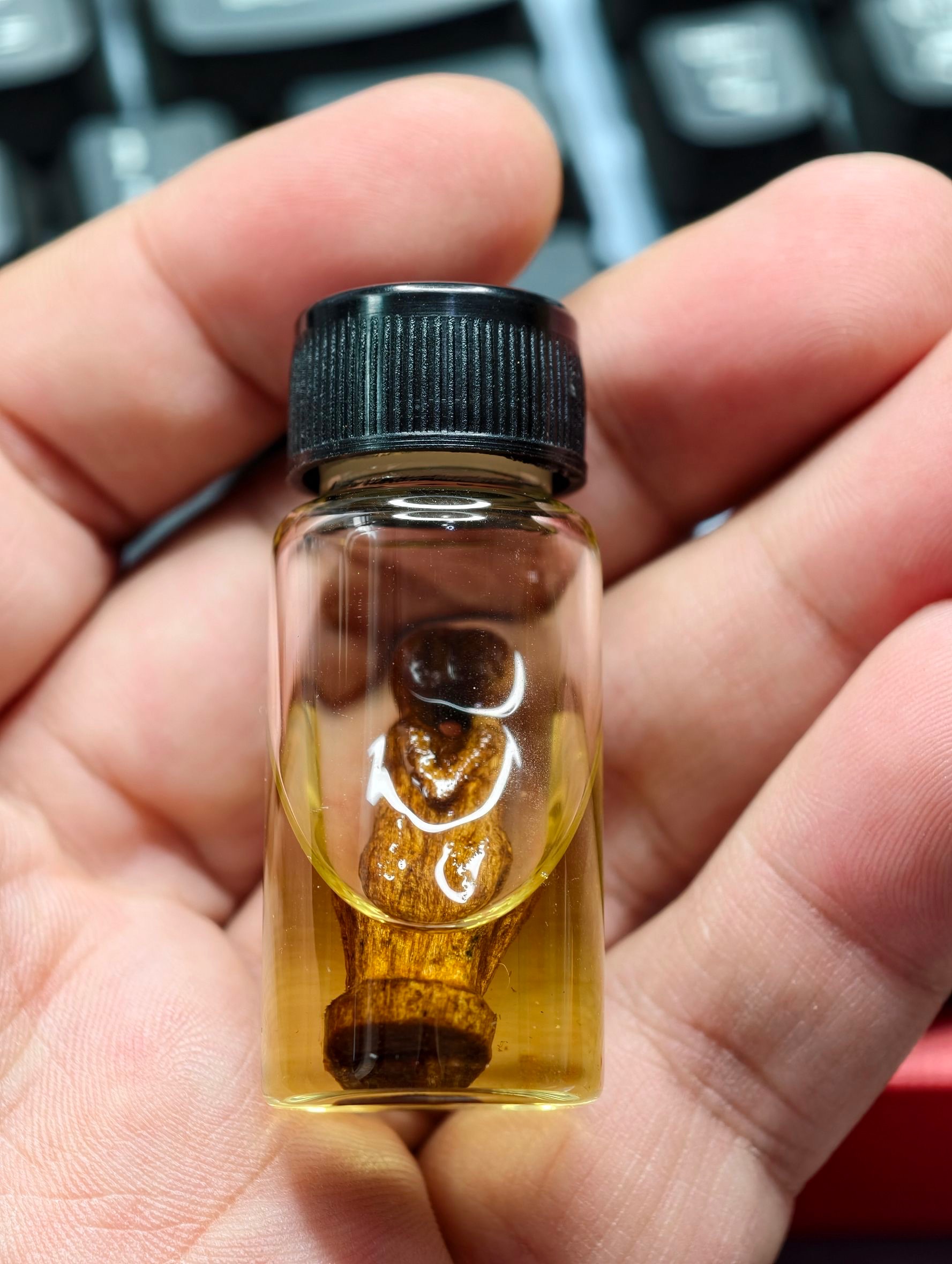 2566-69阿贊臘 愛侶燕通