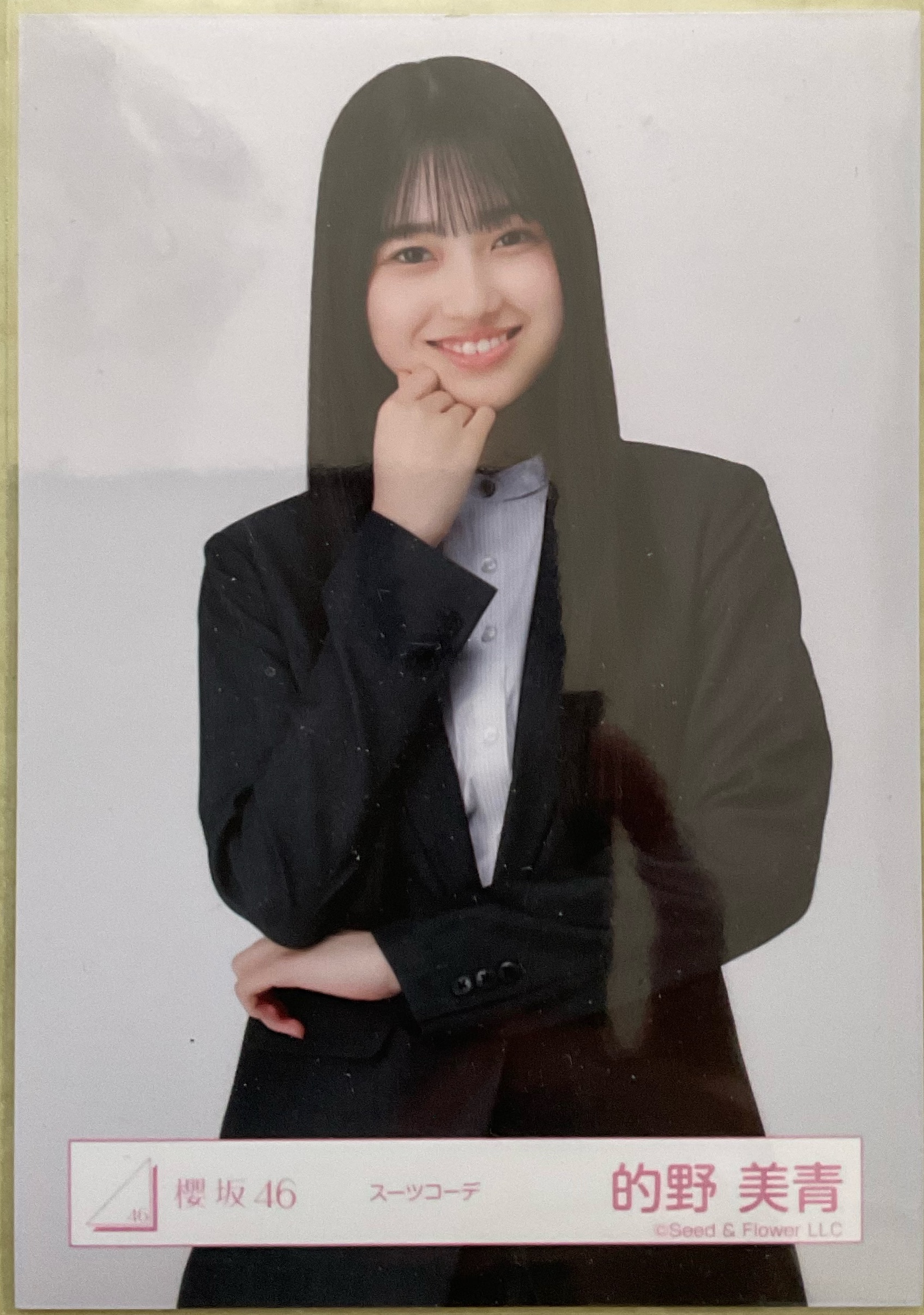 的野美青 專區
