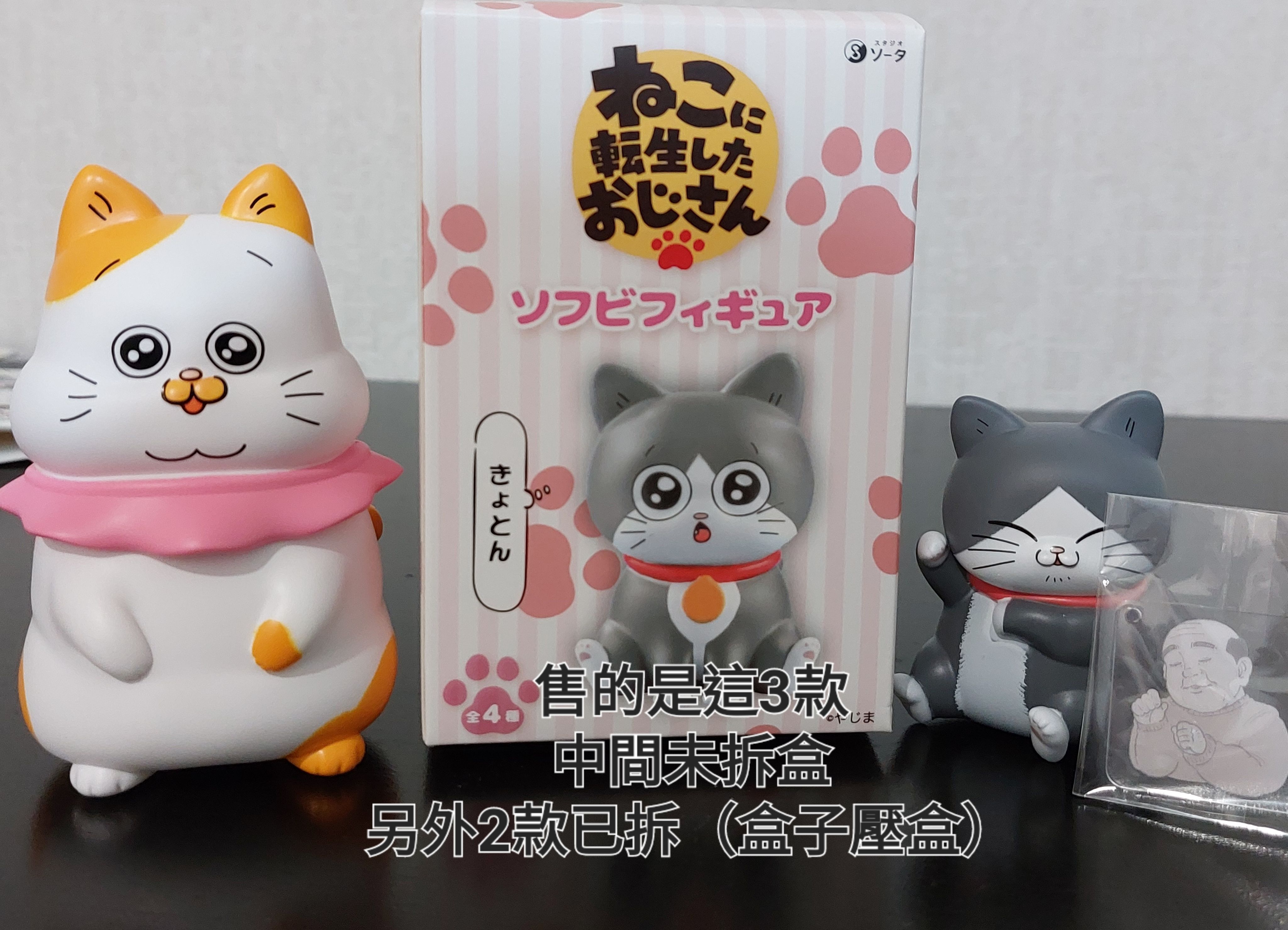 轉生成貓咪的大叔日本盒玩
