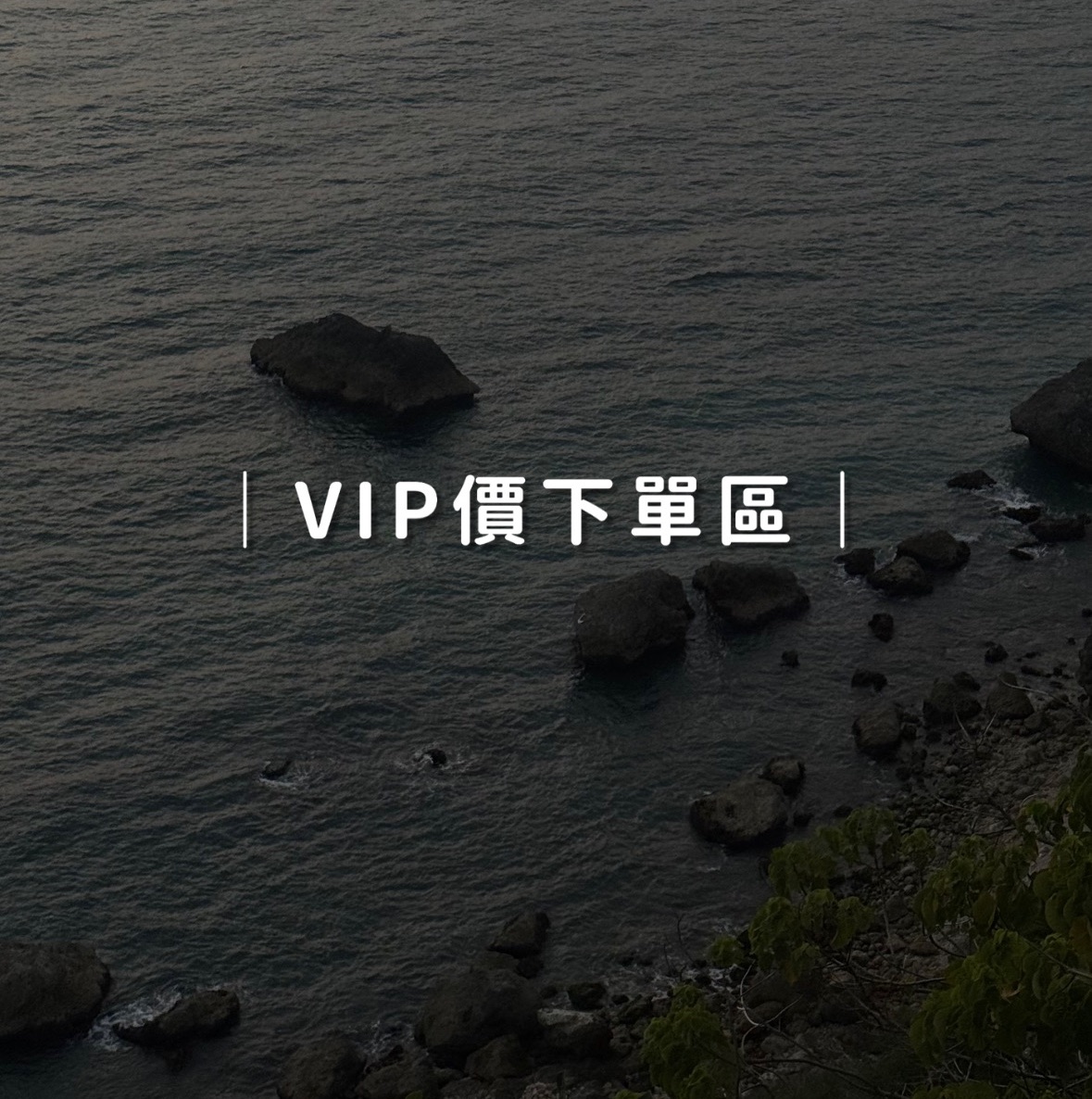 ｜ VIP下單區｜