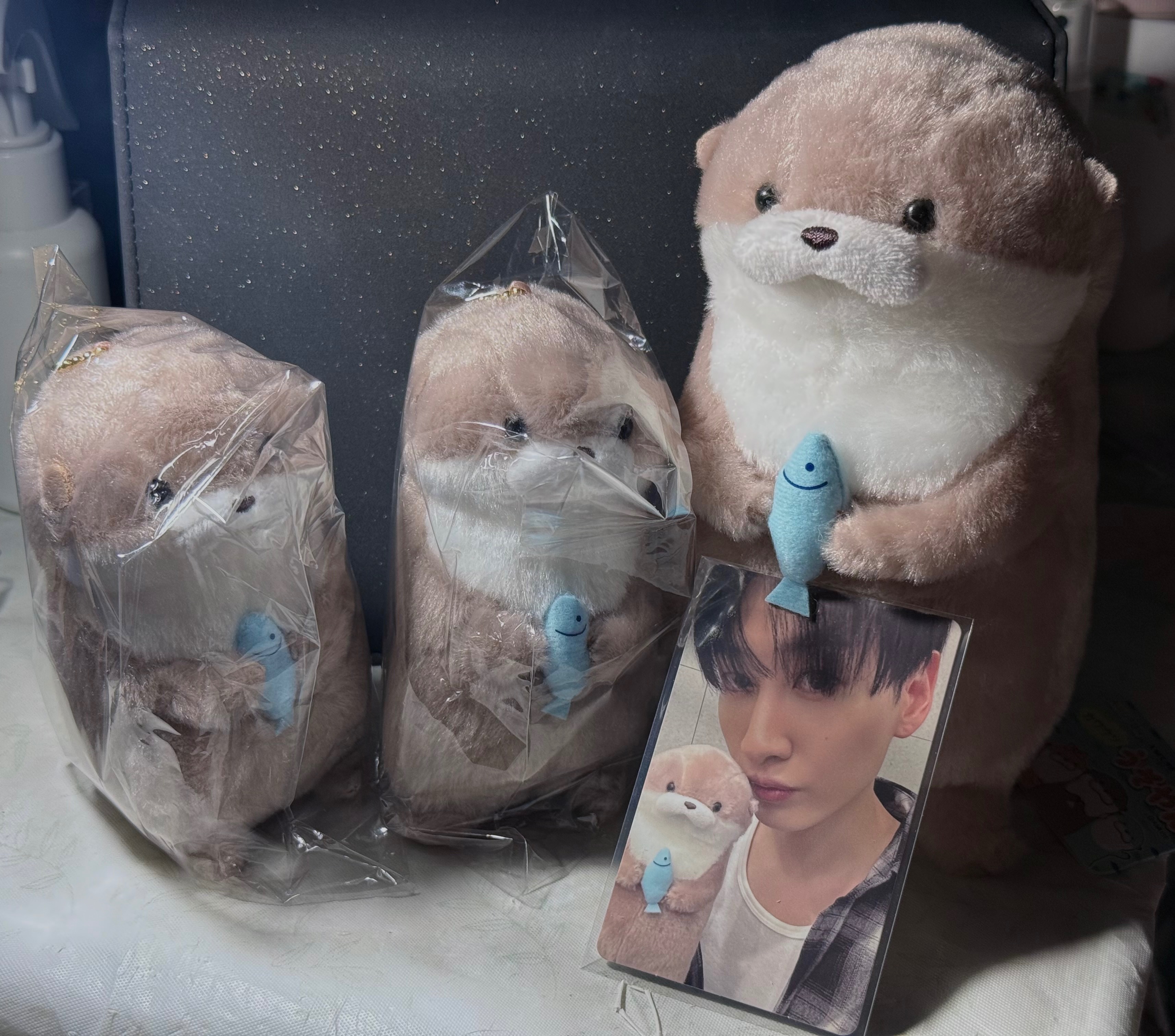 赫宰同款抱魚小水獺11cm吊飾娃⚠️有綁！請詳閱商品敘述