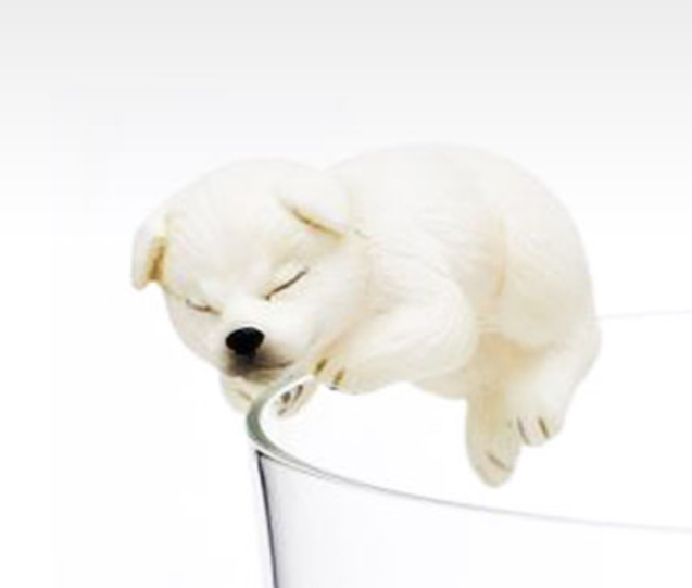 【模販珍藏館】*現貨* KITAN CLUB 奇譚 Putitto 柴犬 狗狗 杯緣子 白色睡覺 轉蛋 扭蛋