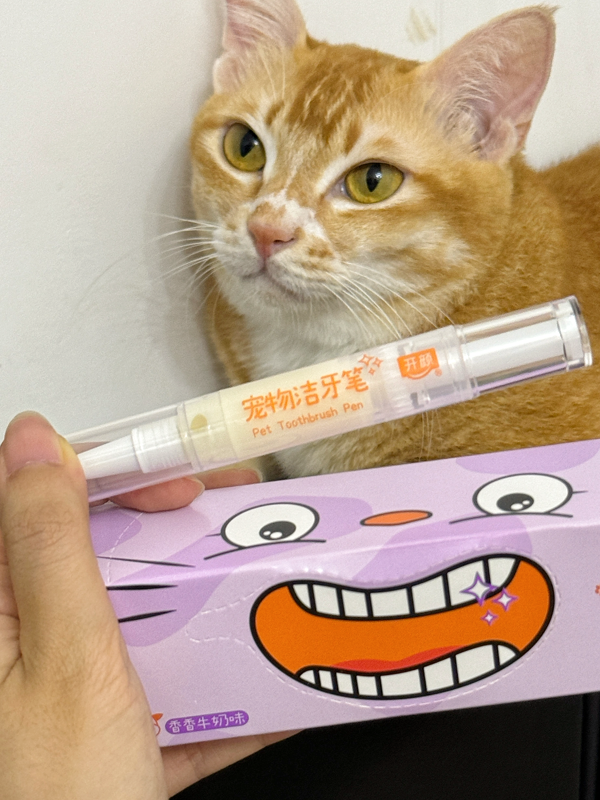 一體式寵物專用潔牙筆🦷