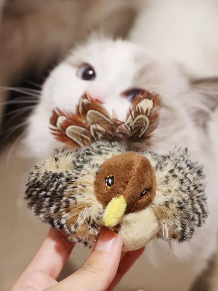 （會叫の）超逼真仿真小鳥玩具