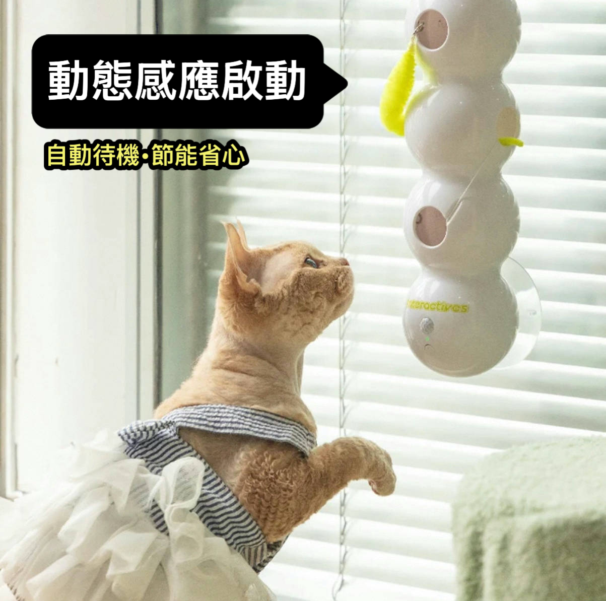 感應毛毛蟲逗貓玩具🐛每人限購1個