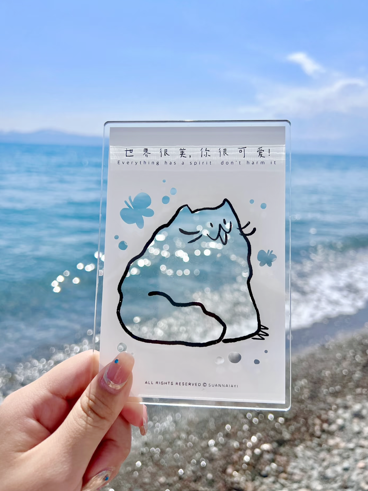 貓貓拍立得透卡