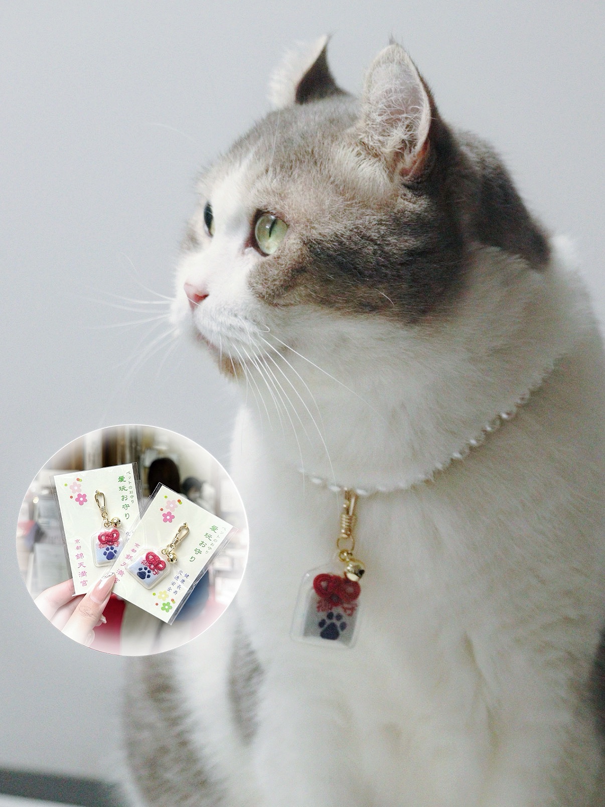 日本京都限定🇯🇵寵物專屬御守