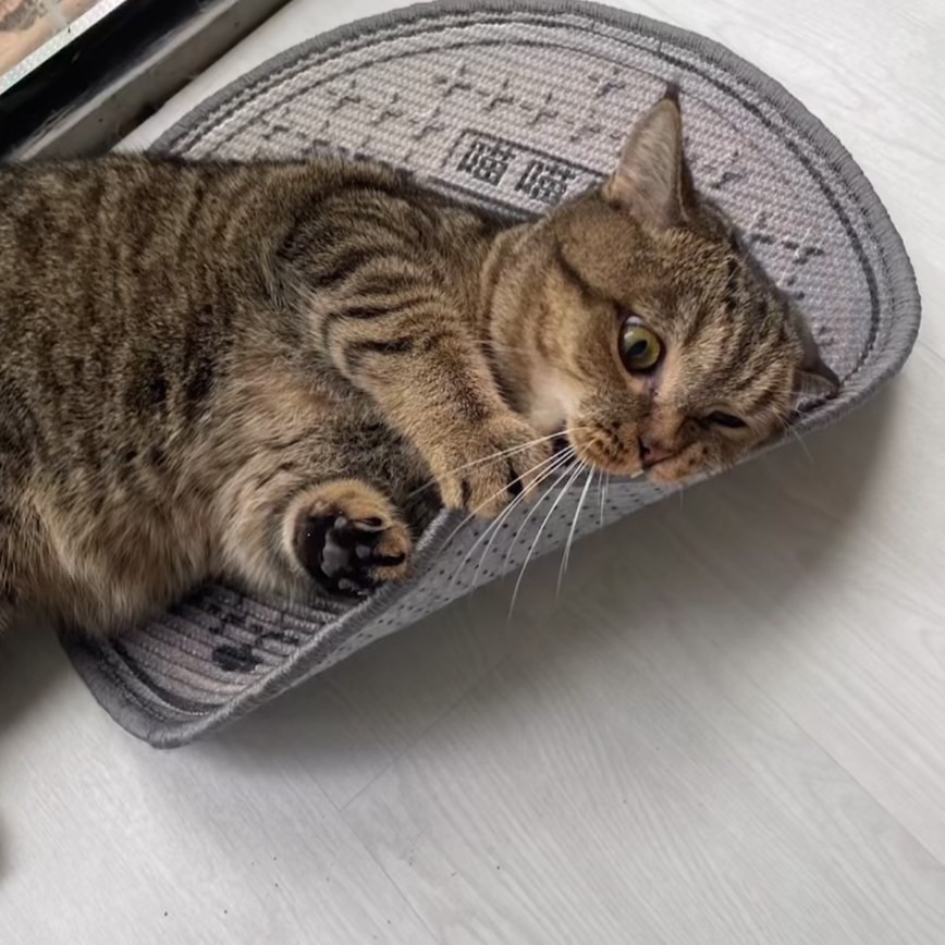 抽象人孔蓋耐咬貓抓板腳印🐾