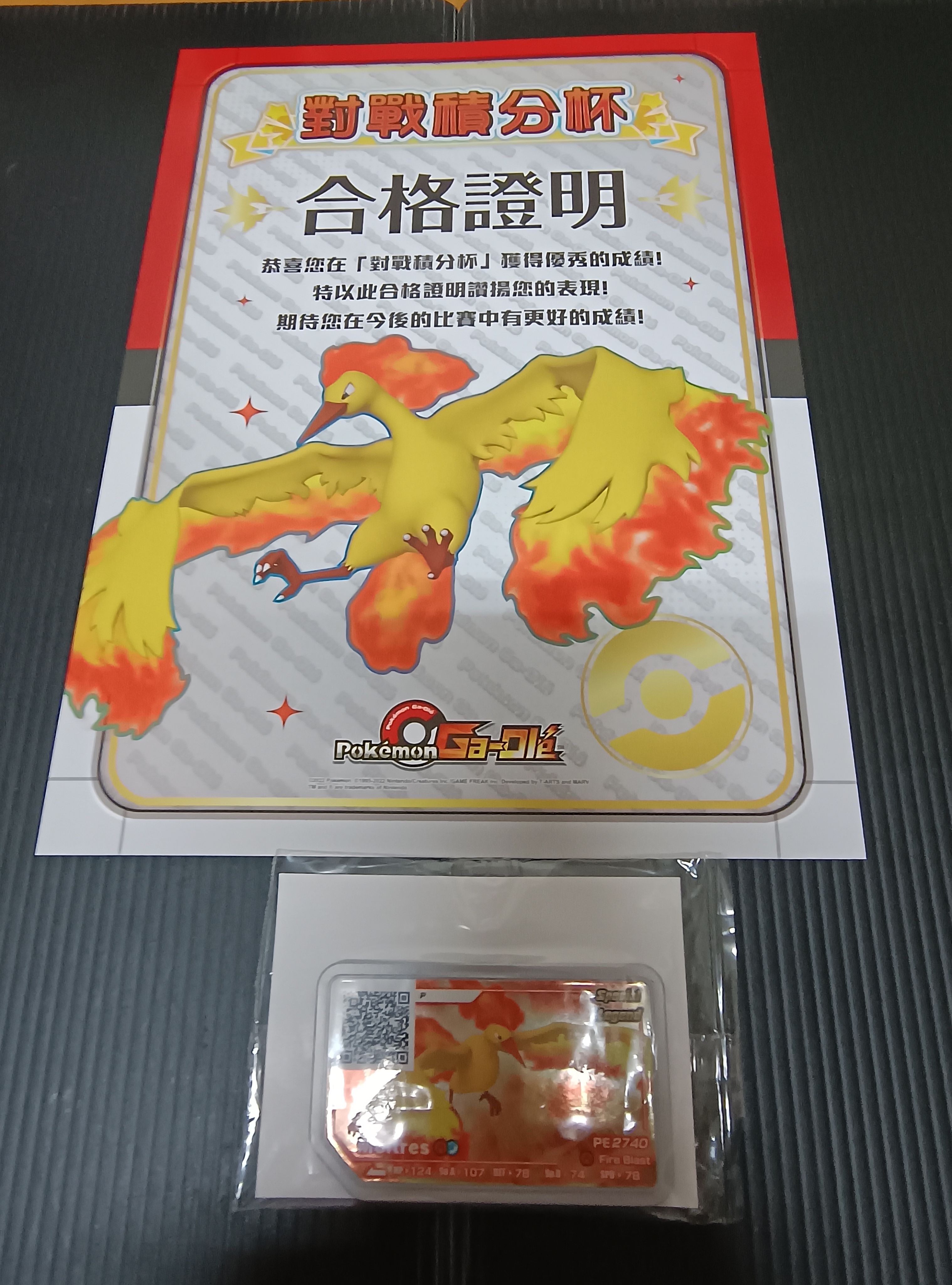店鋪賽火焰與閃電與急凍鳥