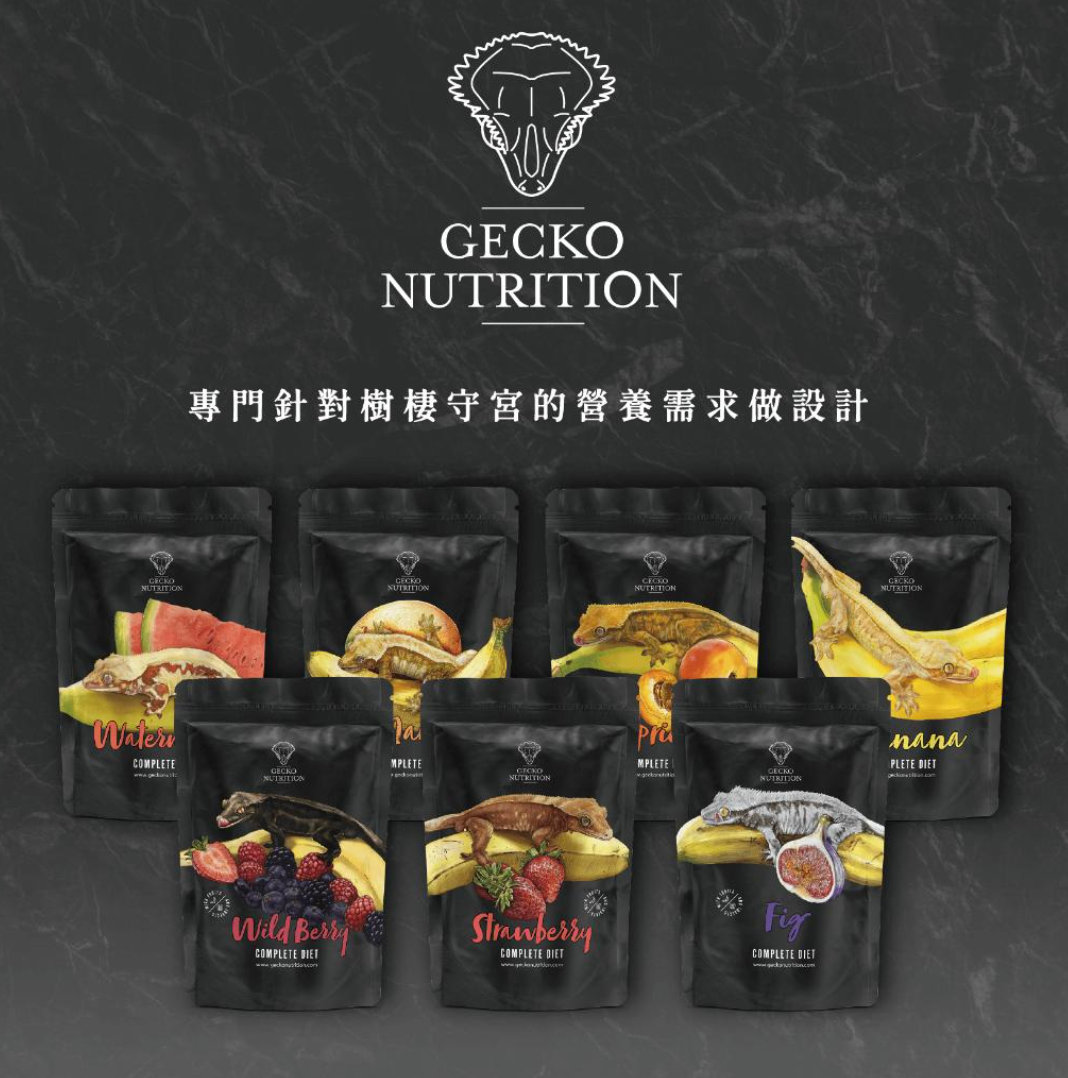 【 B＆B 光速出貨】GN果泥 現貨 蓋勾亞 睫角 巨人 魔物 樹棲守宮 果泥 飼料 主食 水果