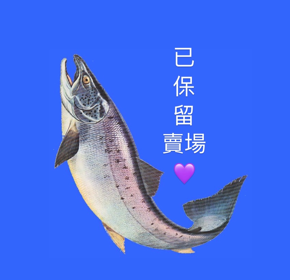 💜以保留賣場💜