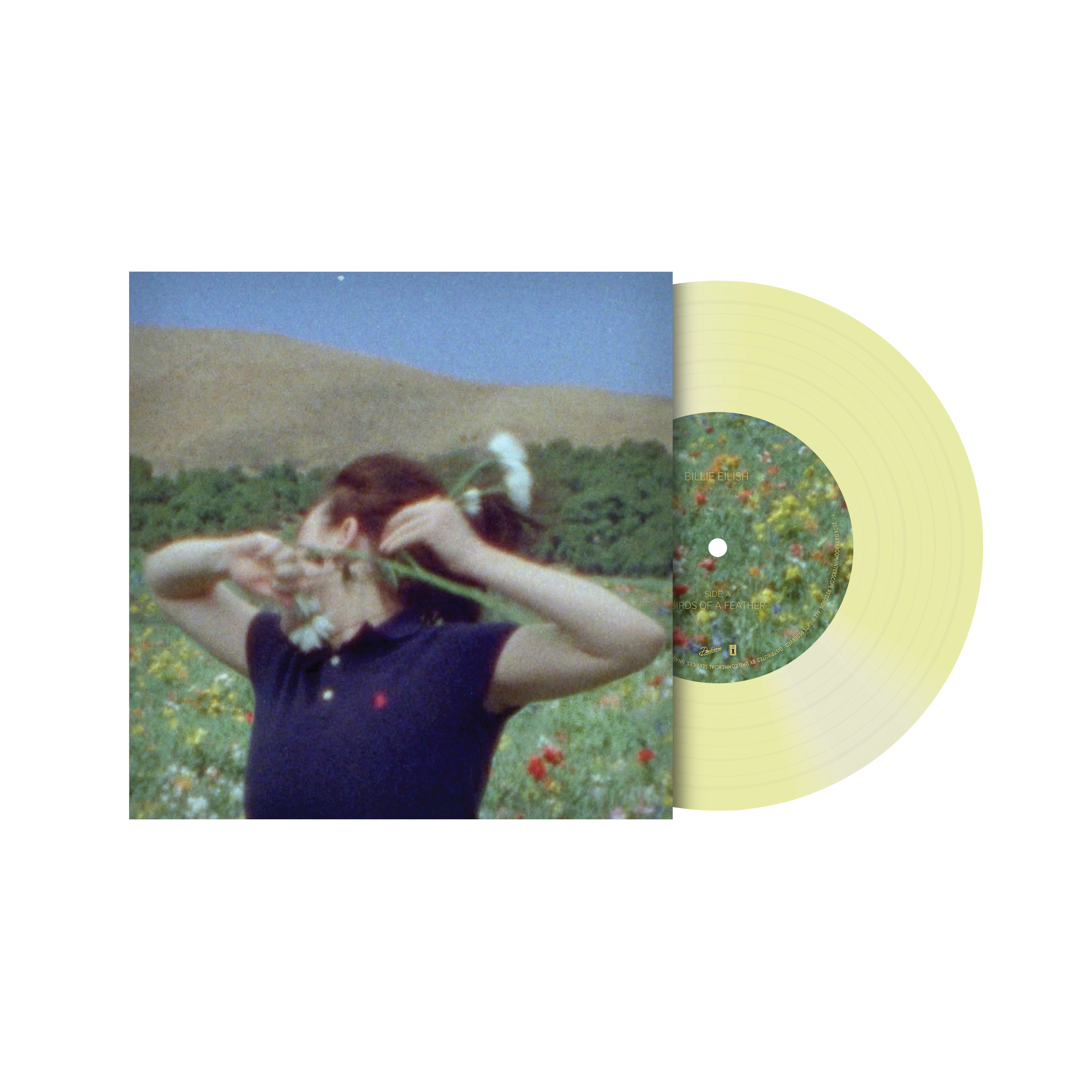 Billie Eilish - BIRDS OF A FEATHER