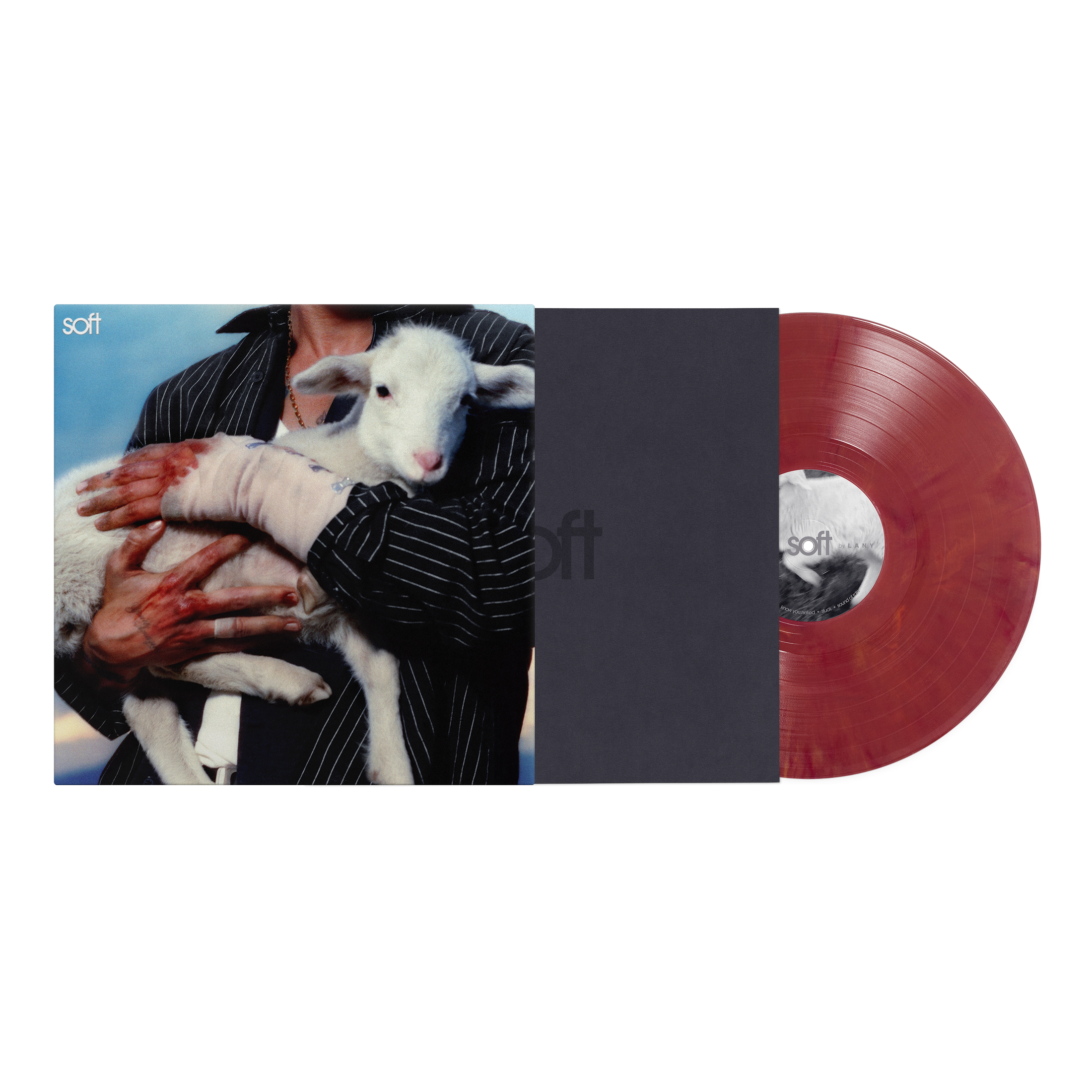 ✅LANY全系列黑膠