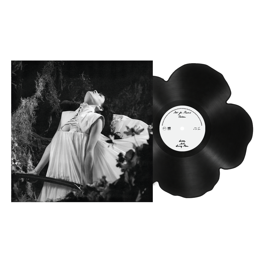 Not for Radio - Bloom