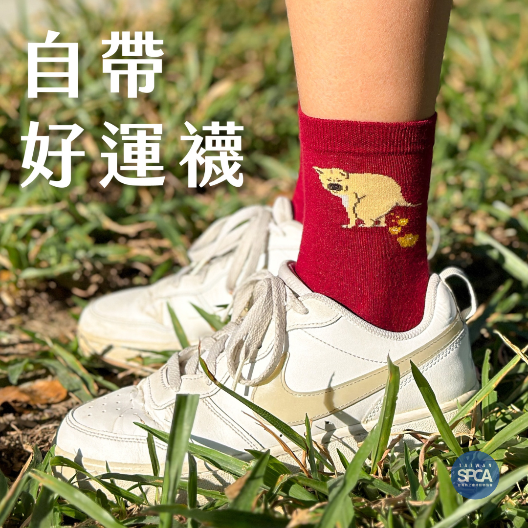 好運襪（狗狗款）
