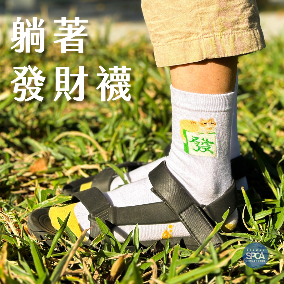 好運襪（貓貓款）