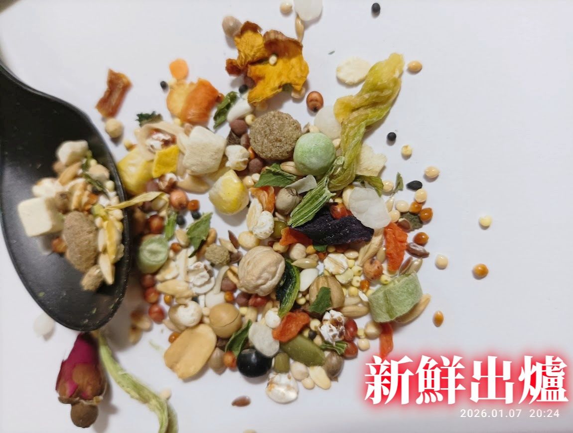 細顆粒主食B餐🐹【預購】3/11起出貨