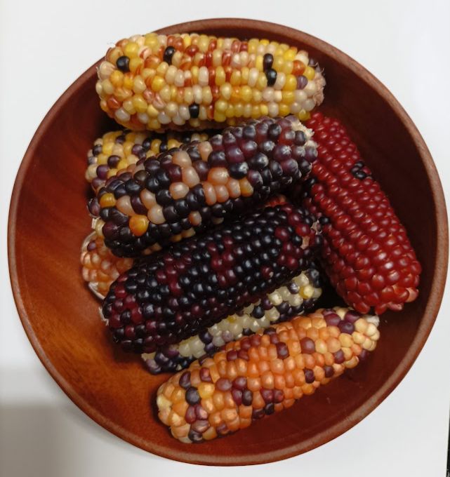 【現烤】玉米/蔬果點心