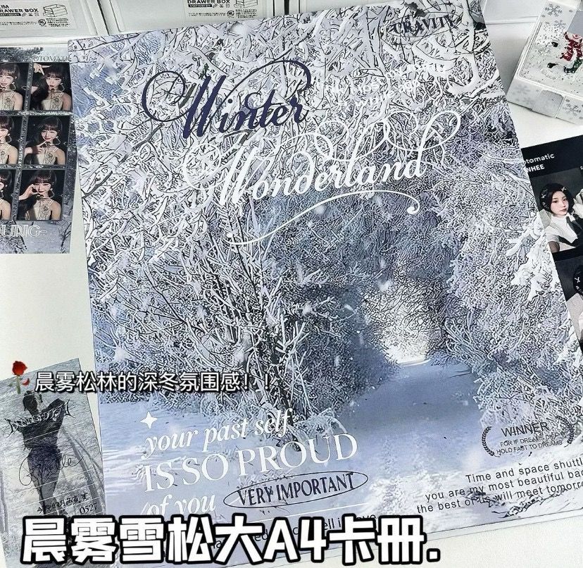 預購！！A4九宮格卡冊（單卡冊）