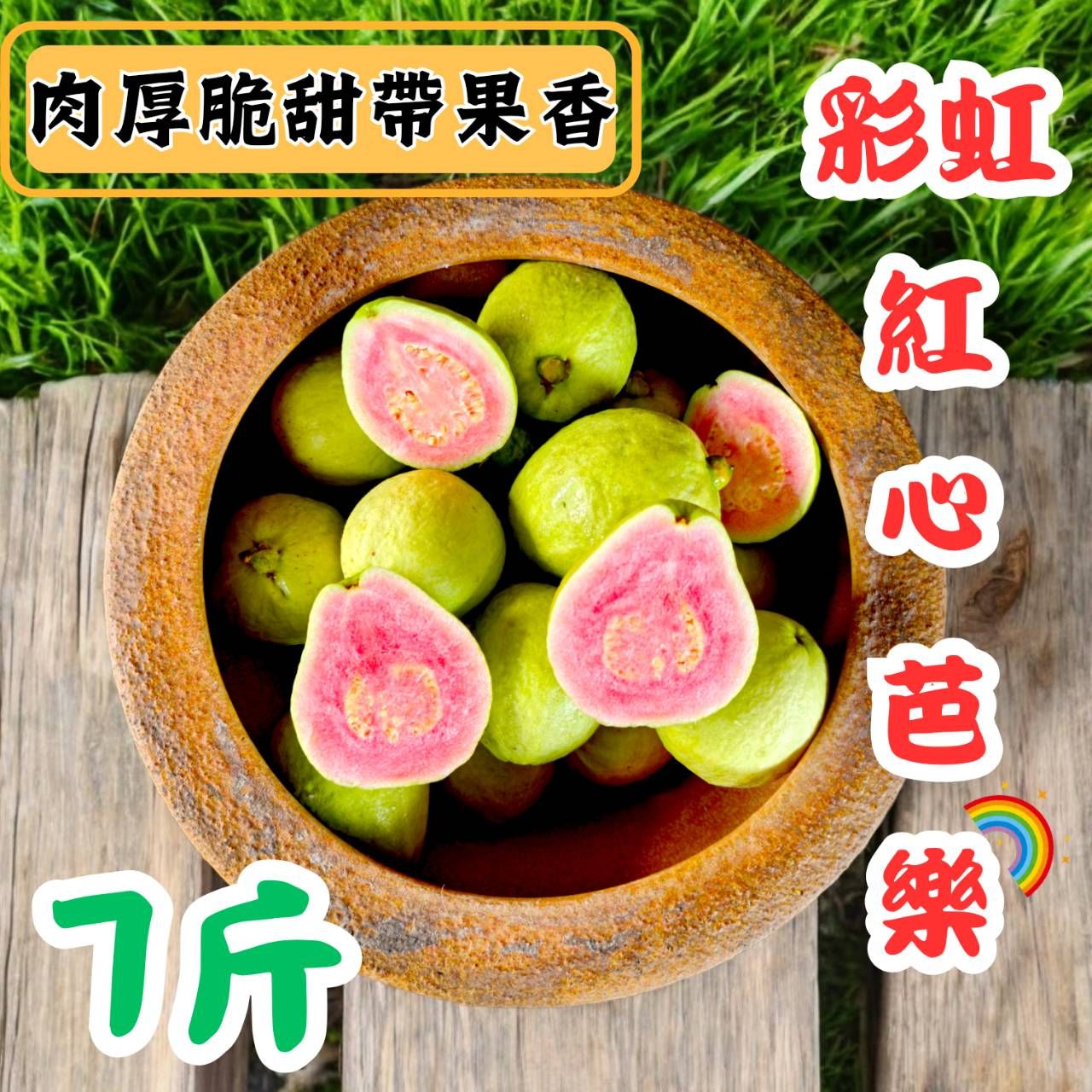 小怪獸-南部最好吃的紅心芭樂/珍珠牛奶芭樂