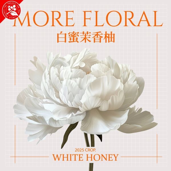 （淺焙）衣索比亞 | 白蜜茉香柚 | 紅圈計畫 | 烏拉嘎 | TOP G1 | 可如蜜