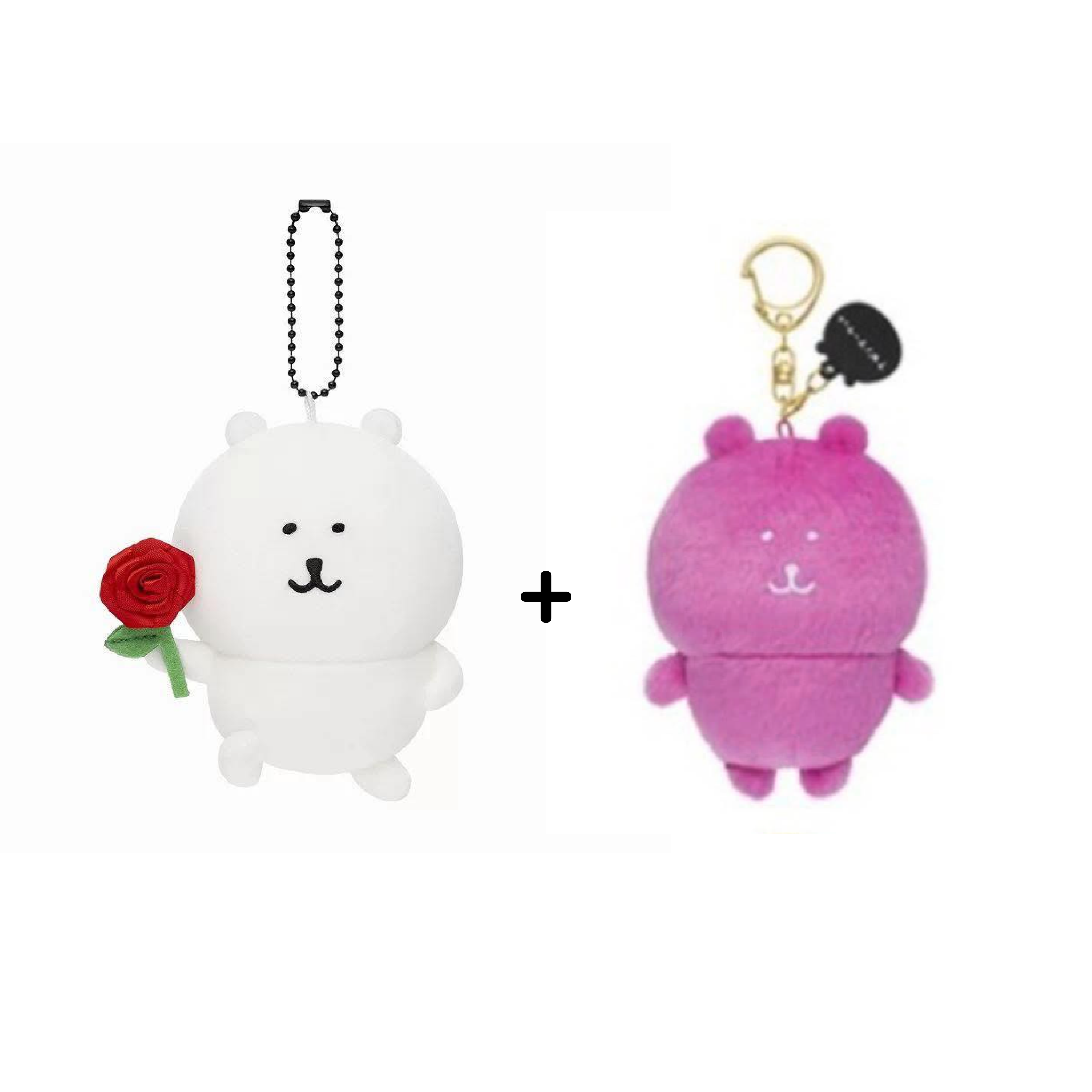 Nagano 玫瑰熊、彩虹熊