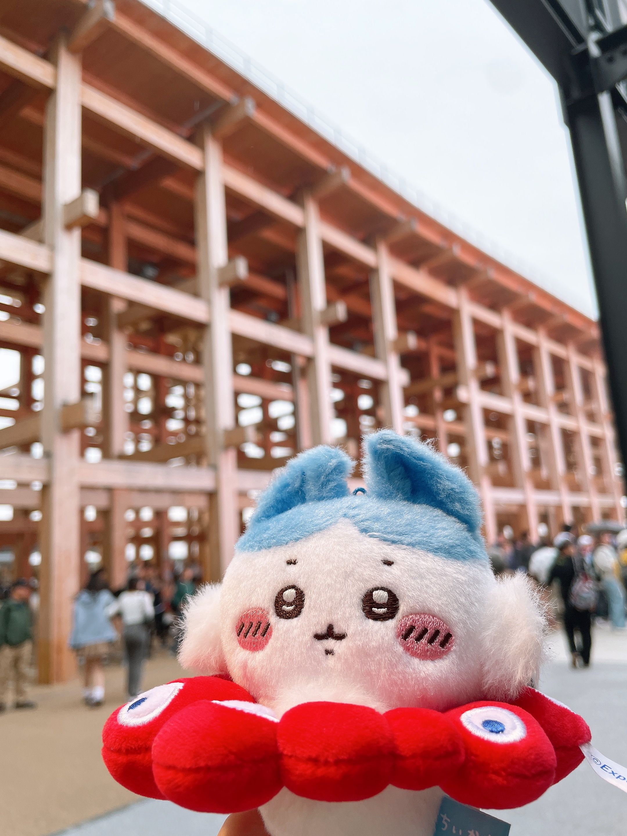 大阪萬博 脈脈圈圈