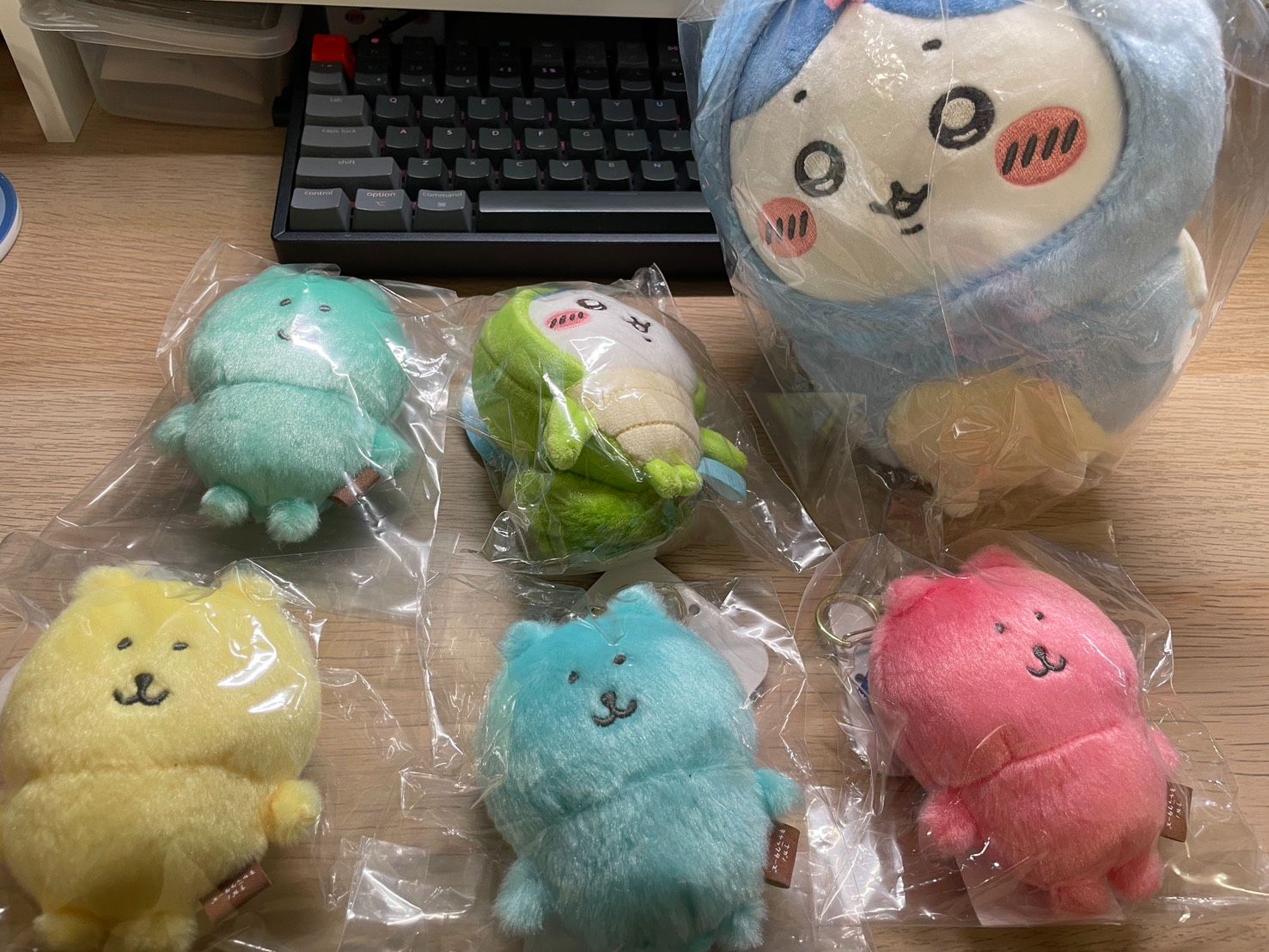 現貨區 10月更新