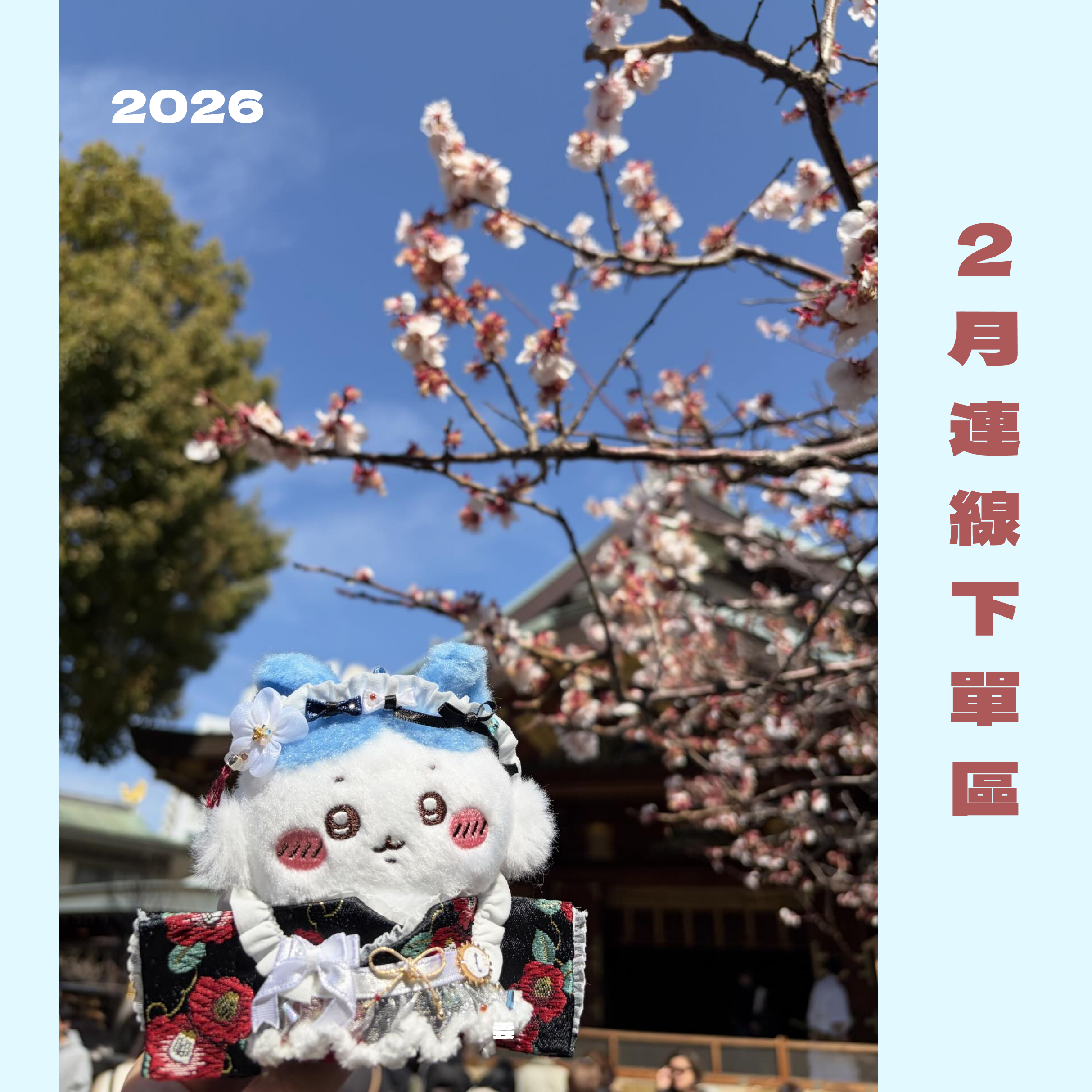 2026 2月喵雲連線下單區