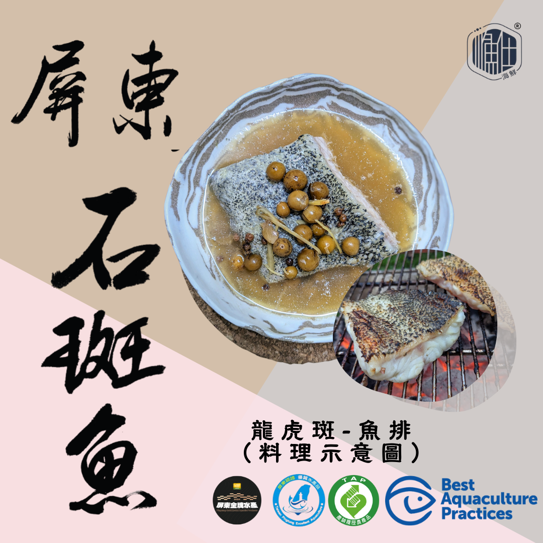 龍虎斑產品2（點進來看更多資訊）