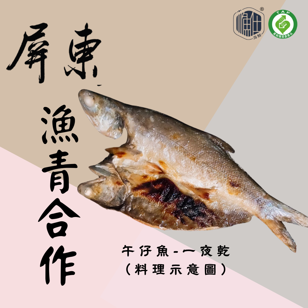 漁仕嚴選 X 漁青合作（點進來看更多資訊）