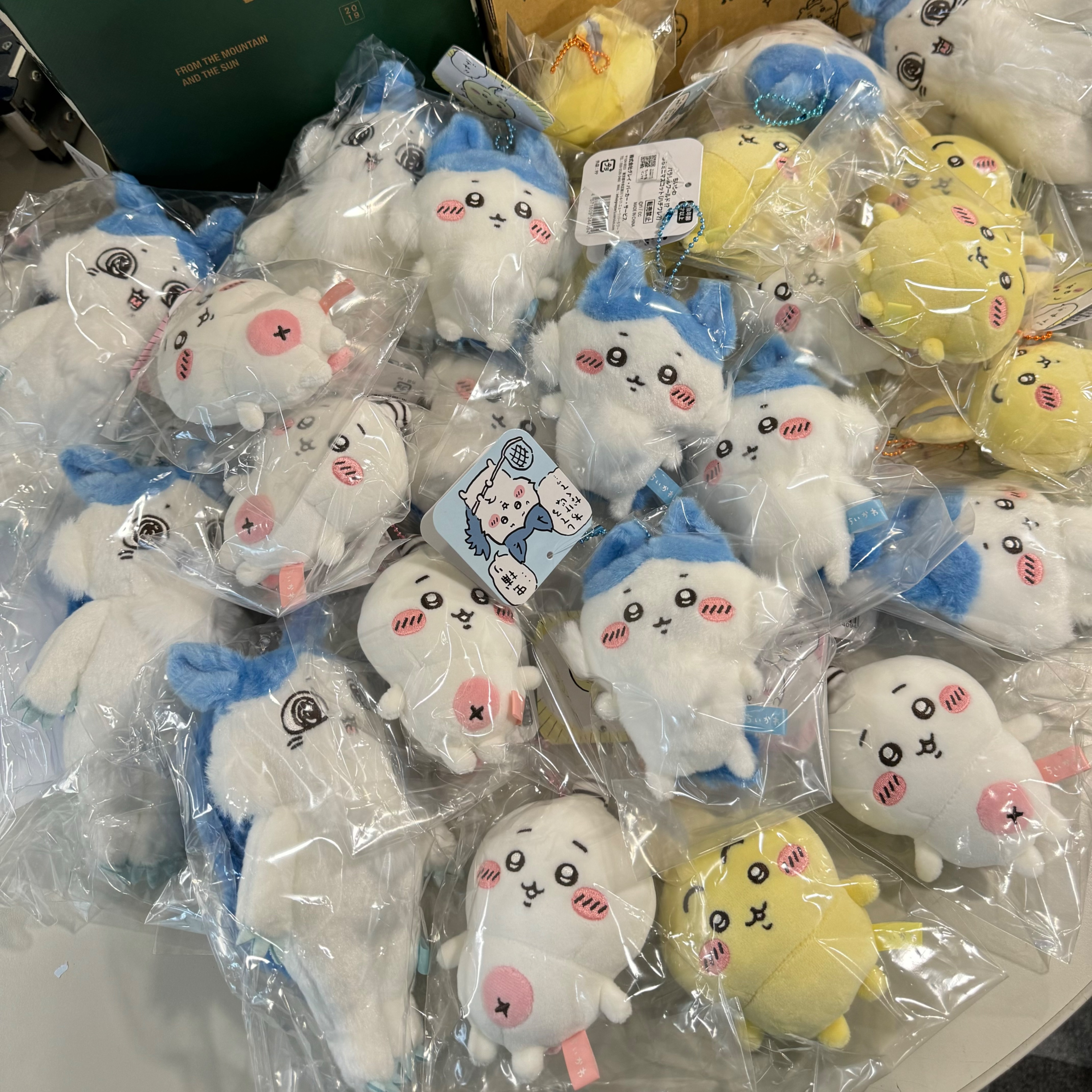現貨 平行世界