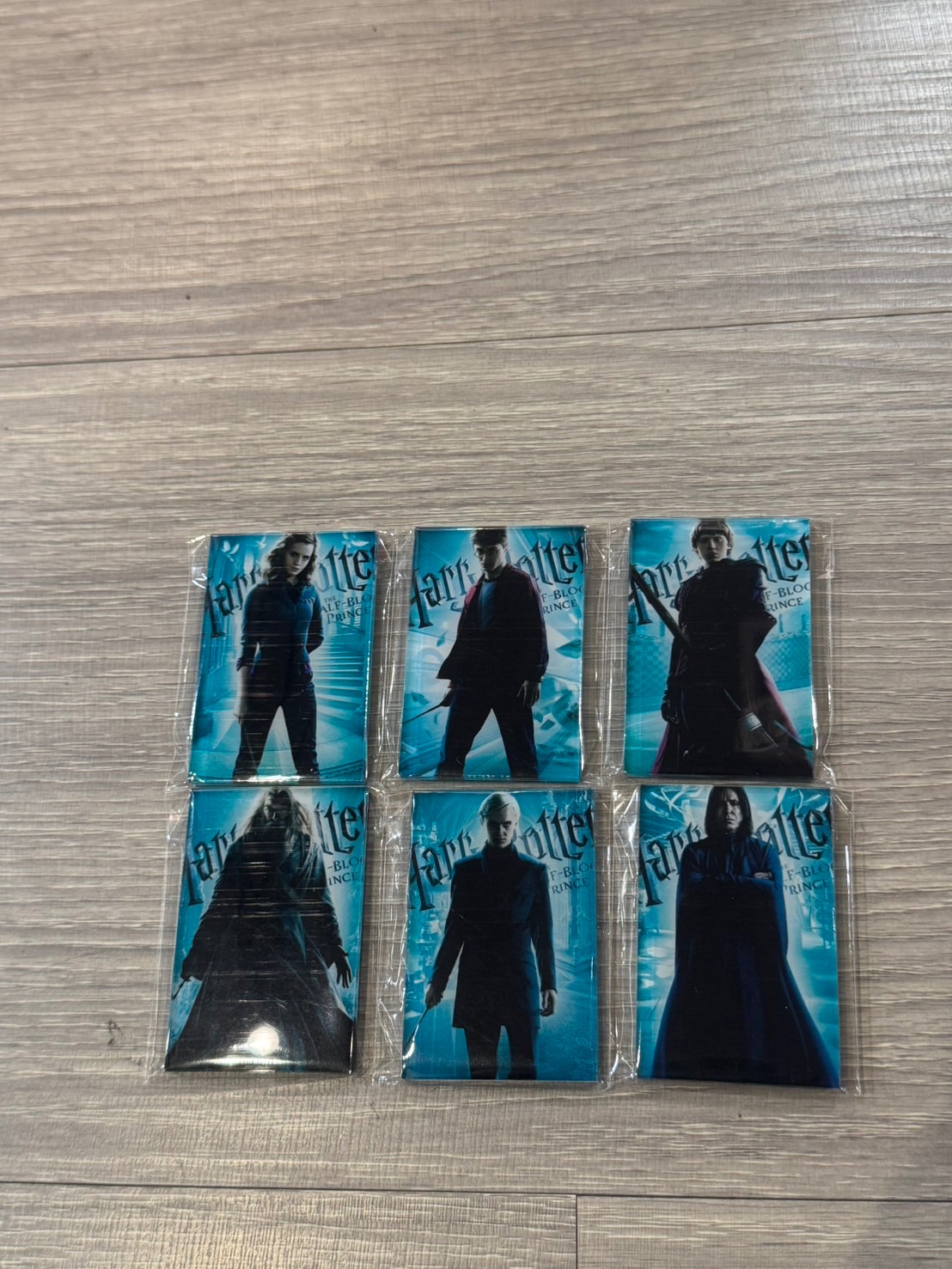 哈利波特人物6 入