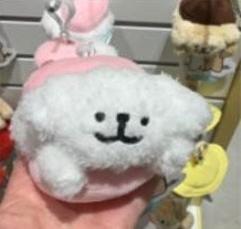（預購）韓國小狗斷貨款
