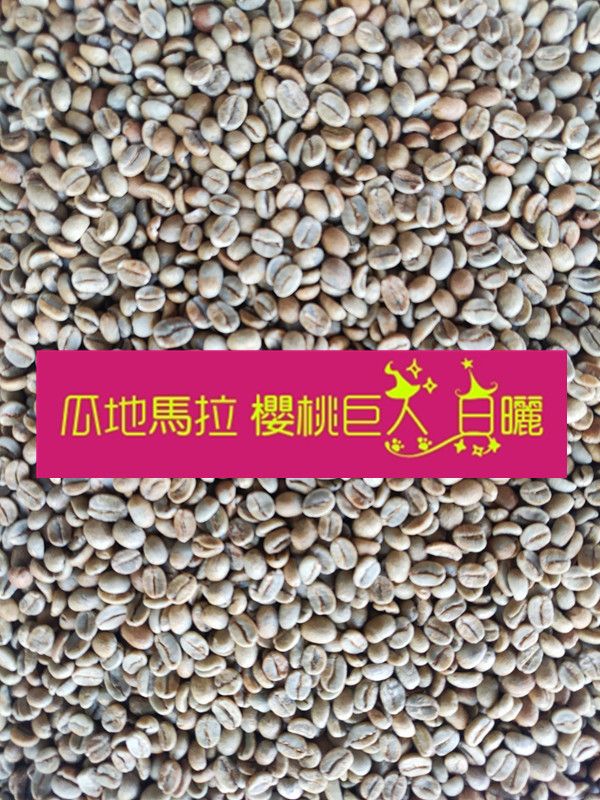 NEW櫻桃巨人｜瓜地馬拉 愛貝絲莊園 日曬-2024
