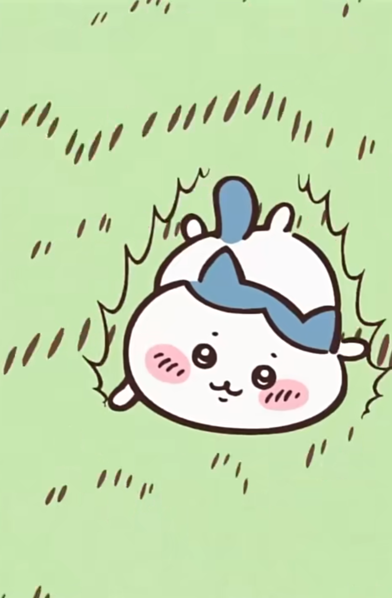 尖尖哇嘎奈—小八