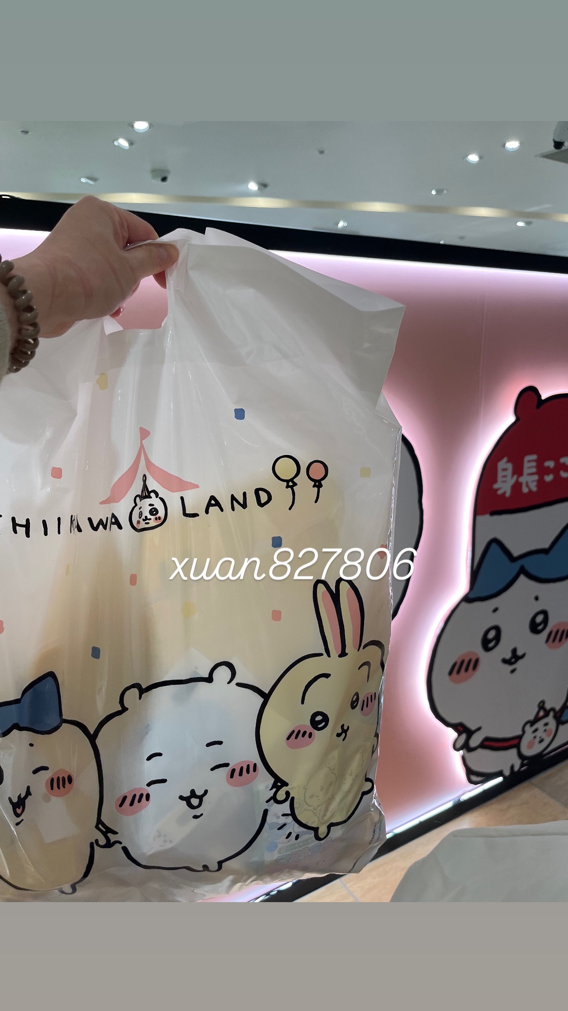 眼神清澈應援兔3隻