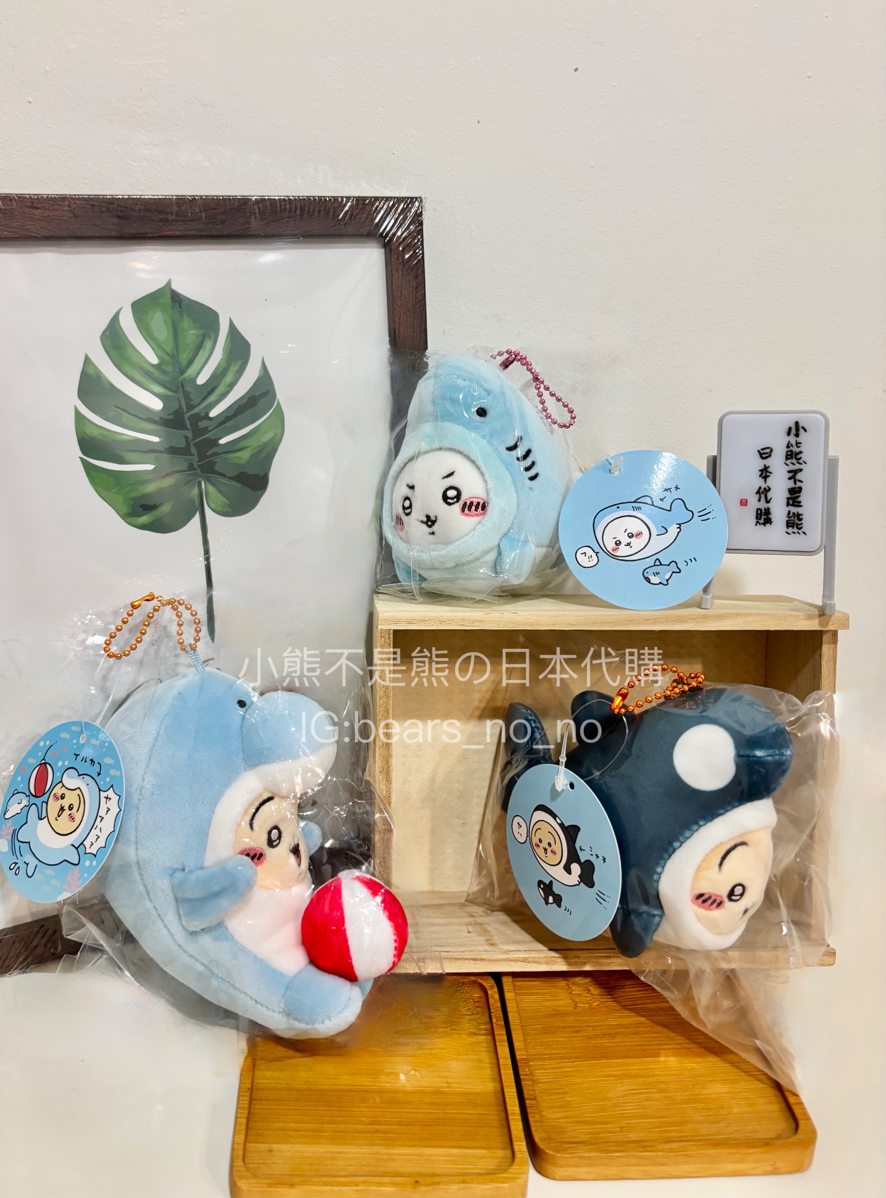 吉伊卡哇-海洋豚鯨系列