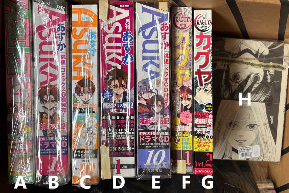 日本雜誌 桃組+戰記 桃組プラス戦記 左近堂繪里 月刊Asuka