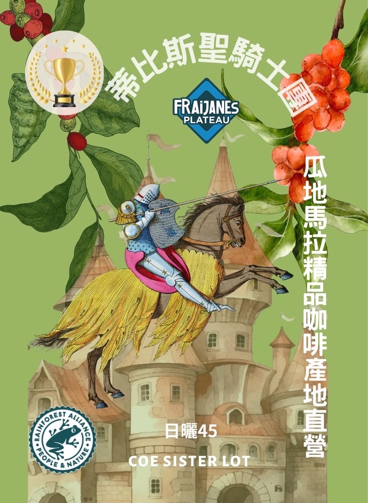 蒂比斯聖騎士團日曬藝妓