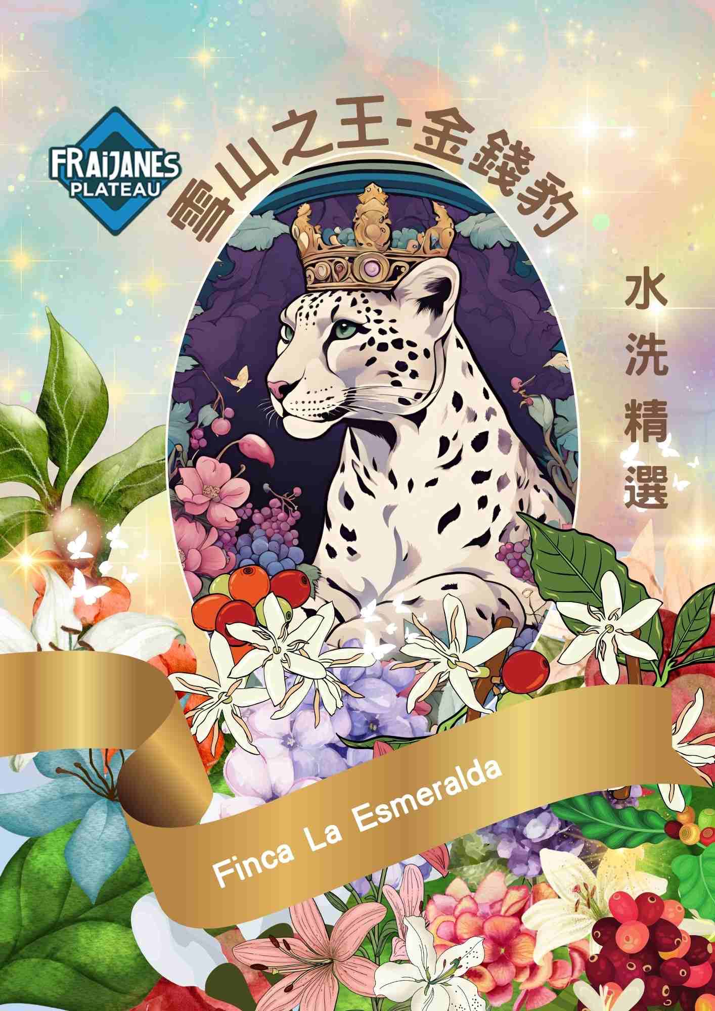 雪山王者～金錢豹（水洗精品單品＋入配）