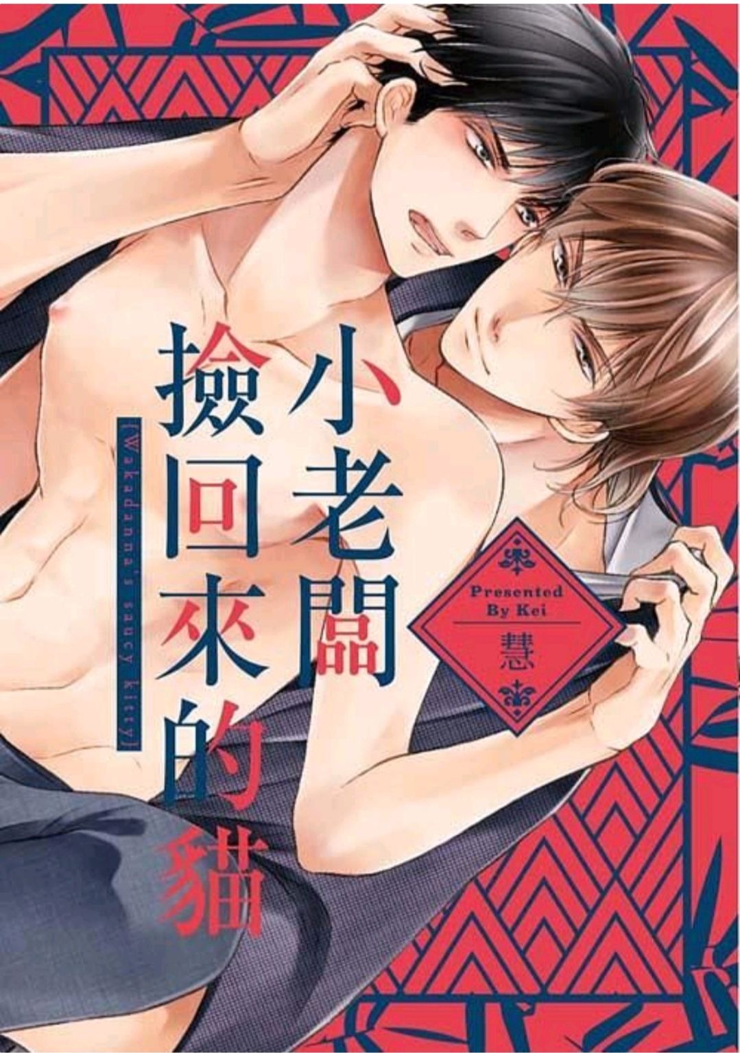 小老闆撿回來的貓