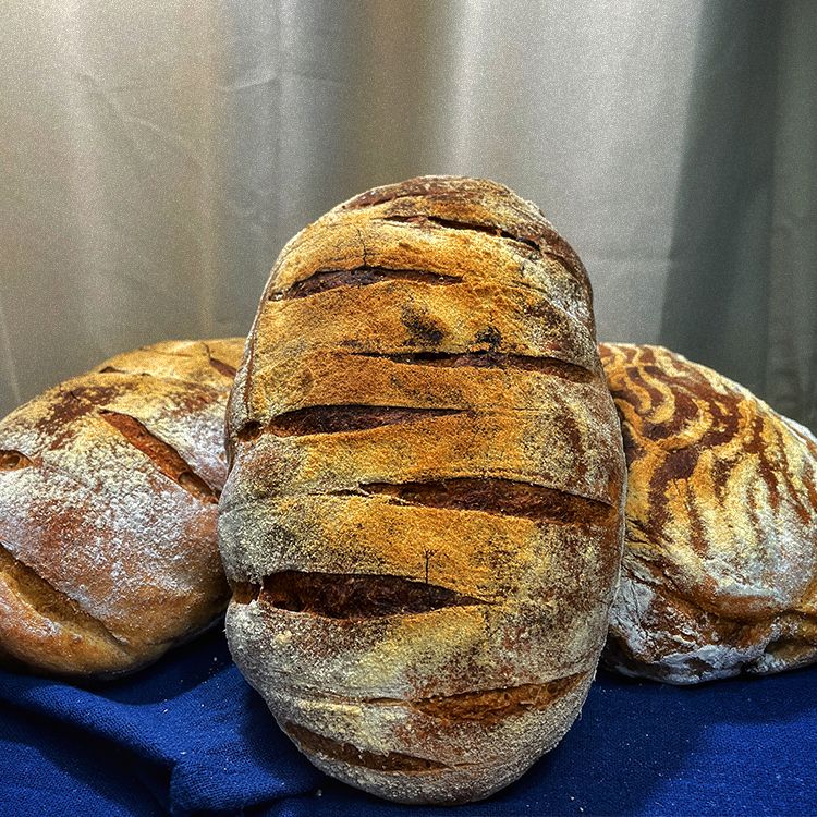 全麥Q軟桂圓歐式麵包 Whole Wheat Sourdough Bread with Chewy Longan