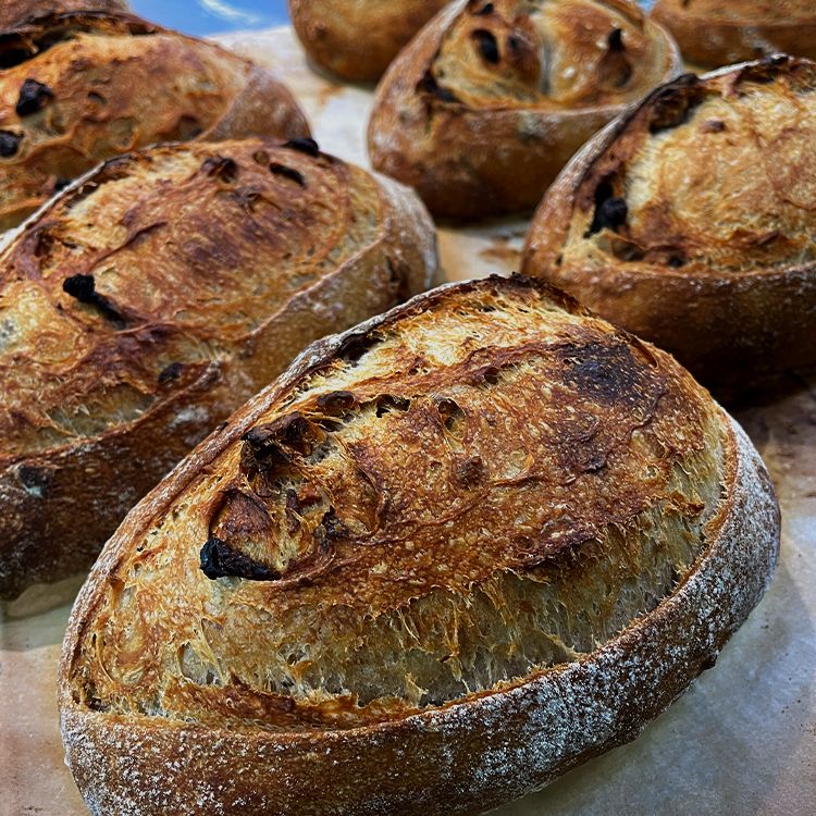 歐式酸種麵包 Sourdough Bread