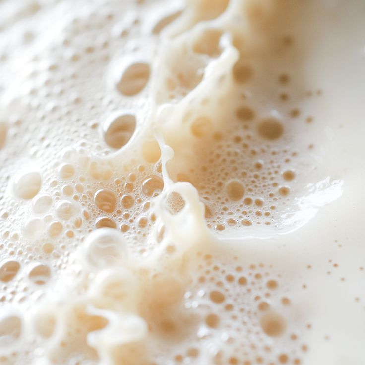 甘酒 Amazake （全素）