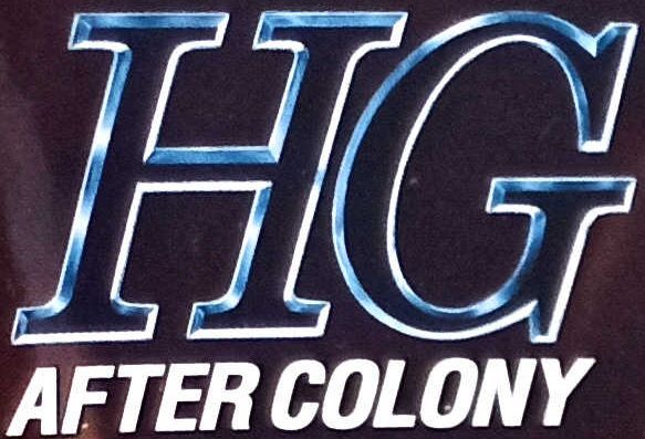 HGAC 1/144 W ＆ EW新機動戰記系列